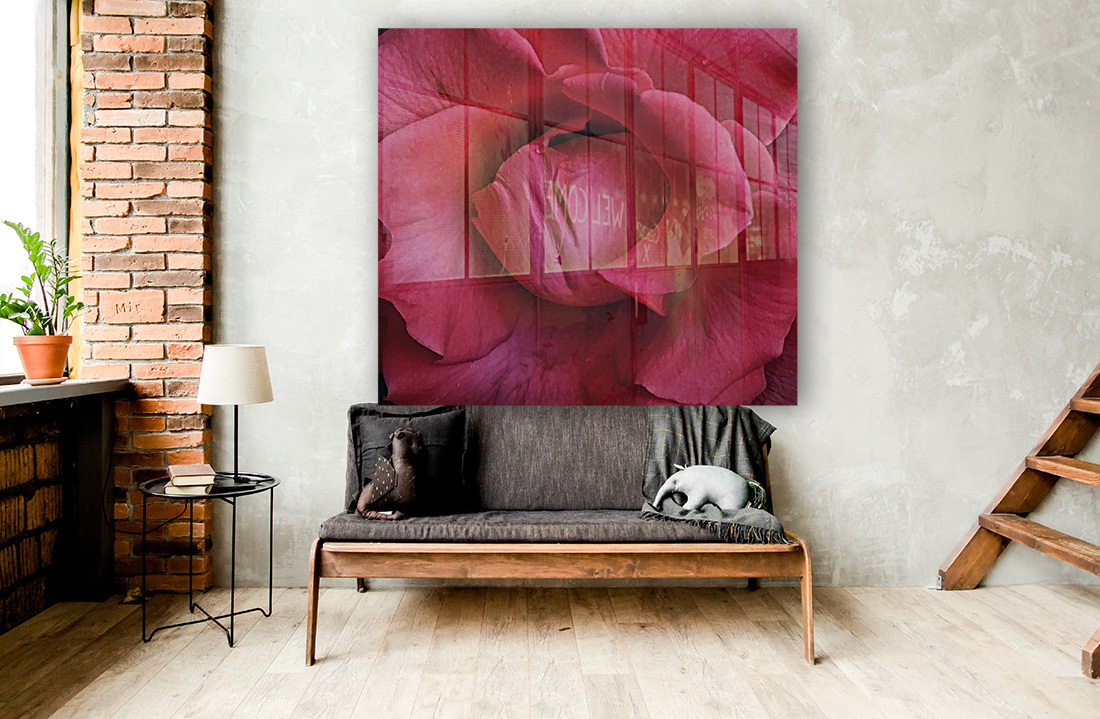 Pink Rose    Reproduction