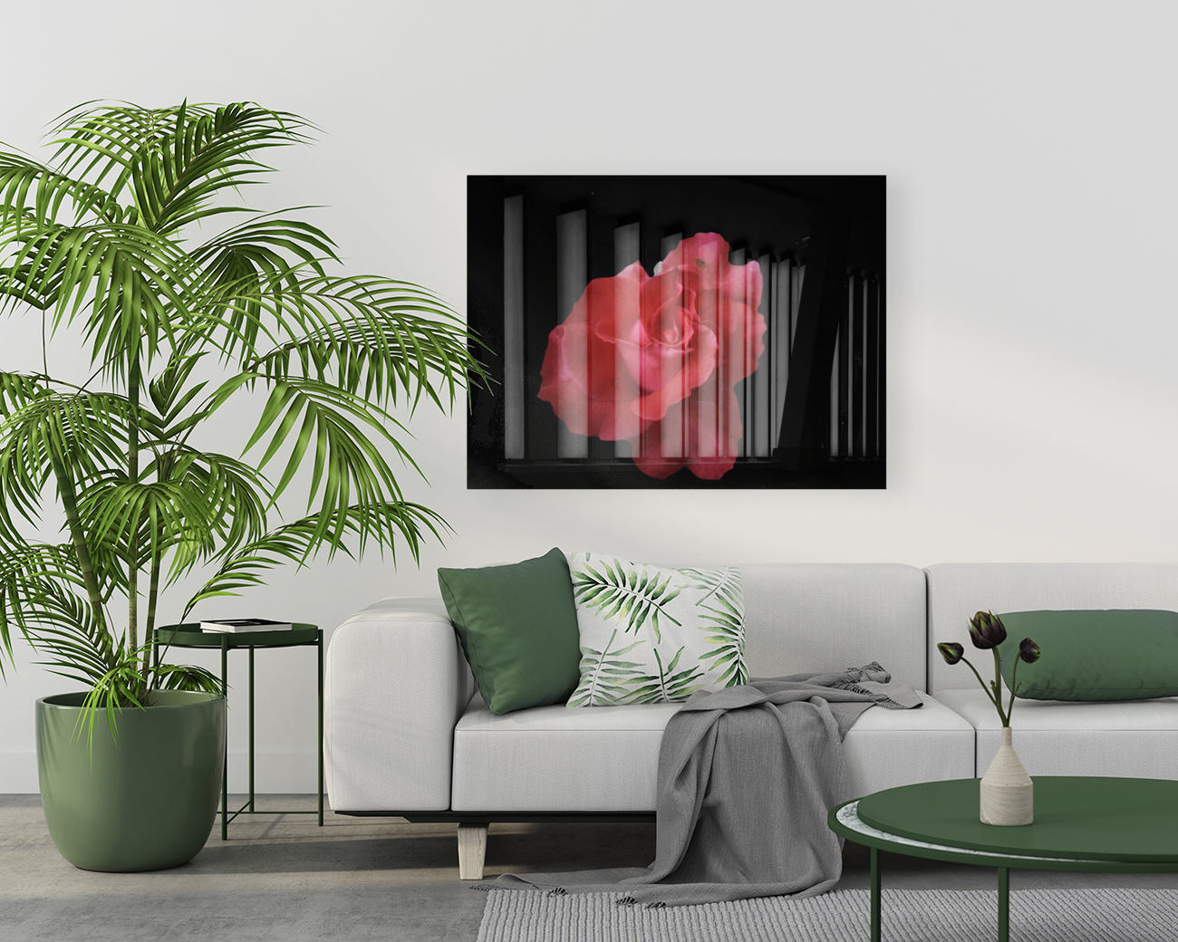 Coral Rose Reproduction