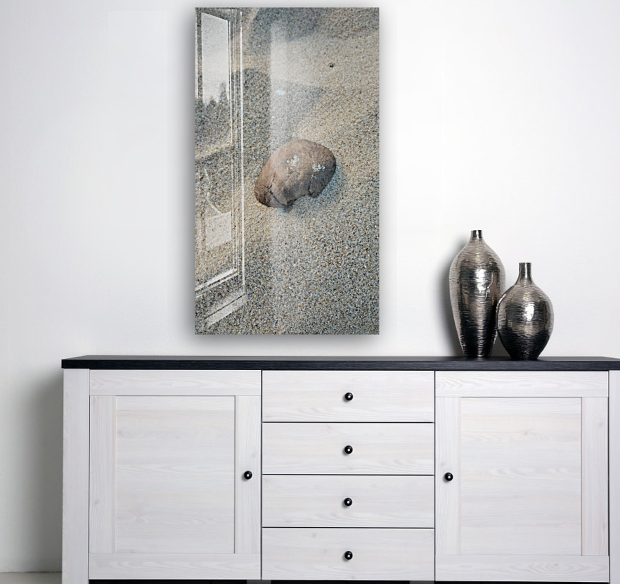 Coastal Shell Reproduction