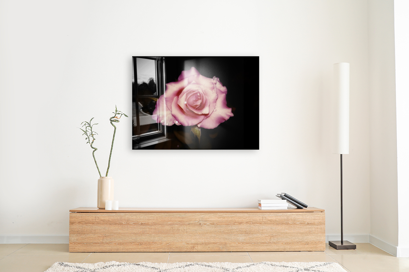 Satin Rose Reproduction