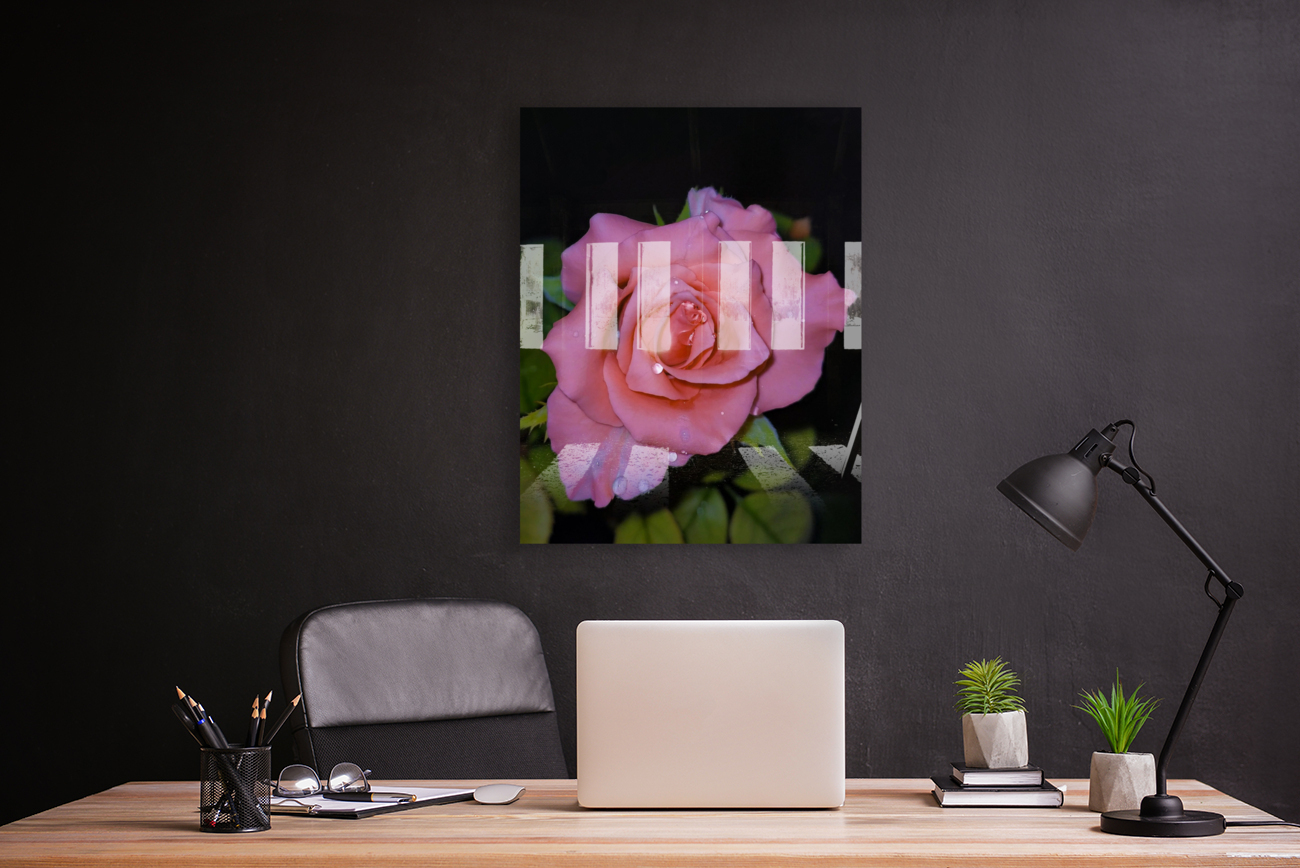 Pink Dew Rose Reproduction