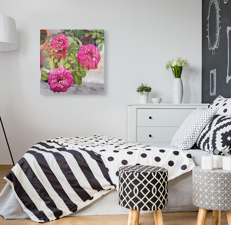 Blooming Roses Reproduction