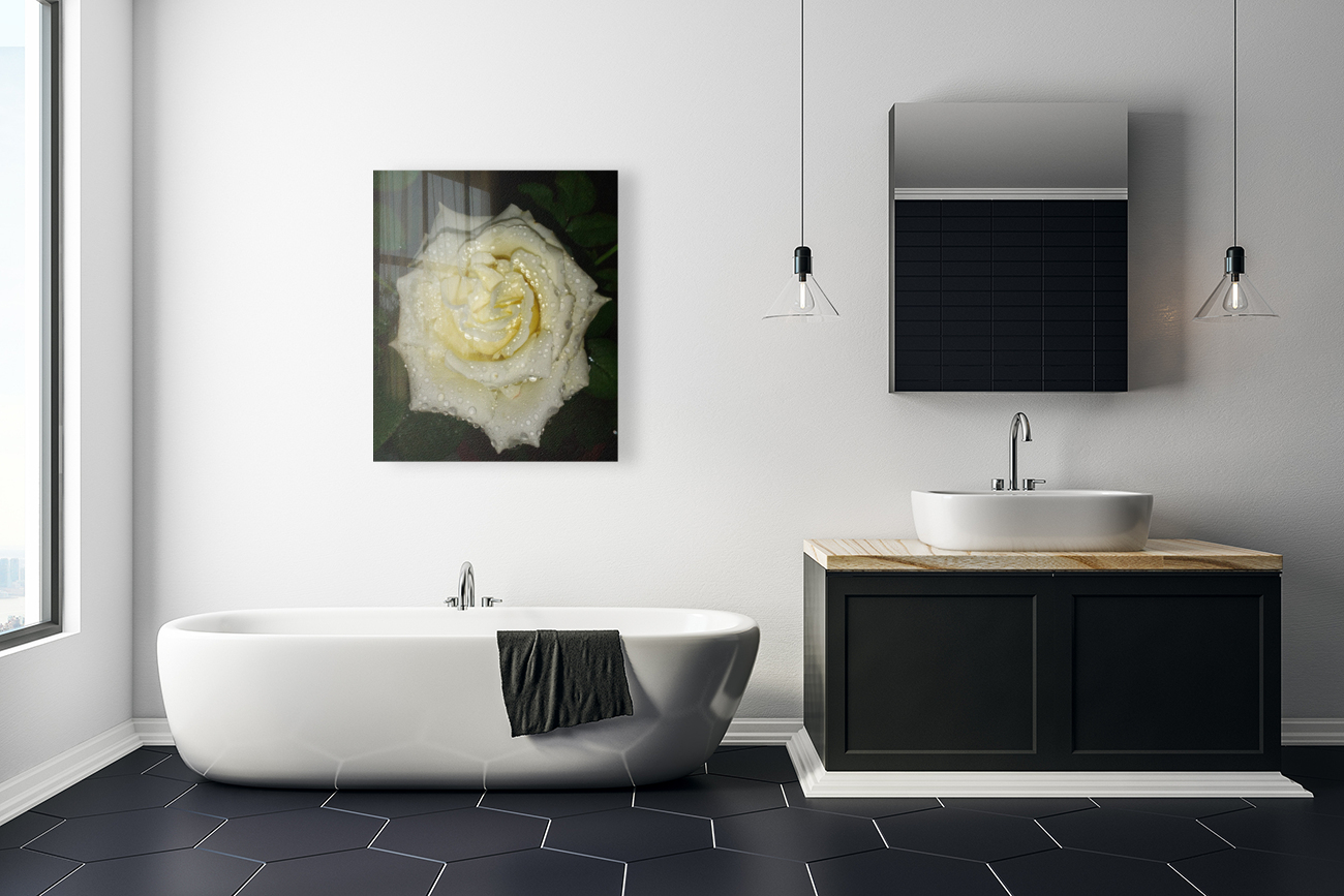 Floribunda Rose Reproduction