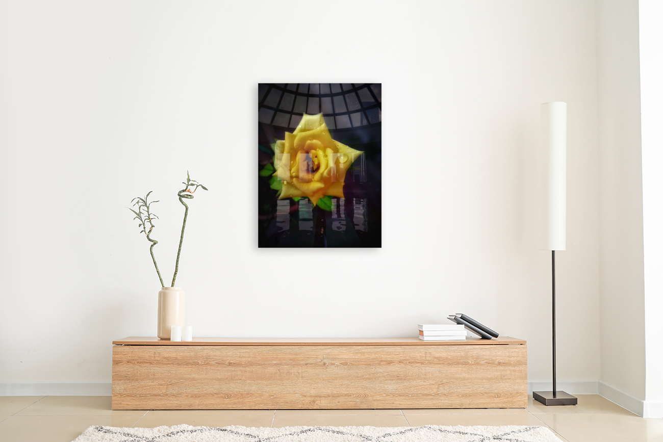 Beautiful Yellow Rose Reproduction