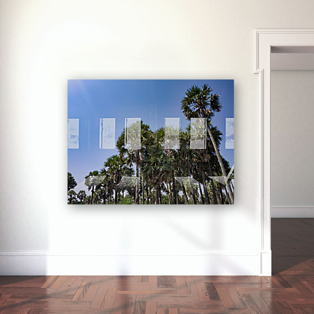 Palm Tree Reproduction