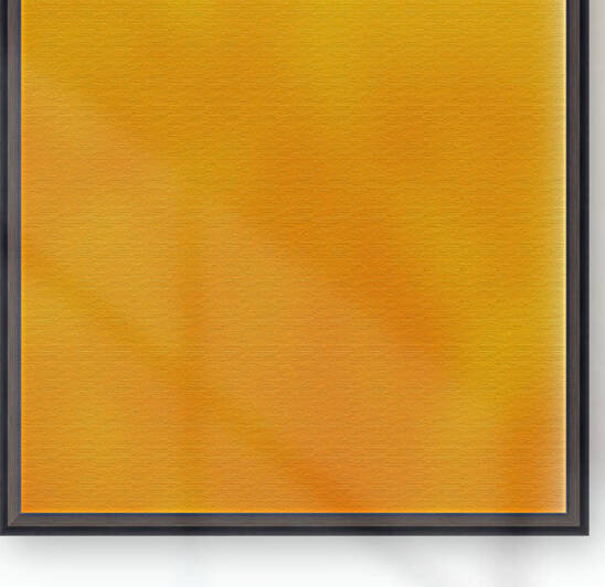 Orange Texture Reproduction
