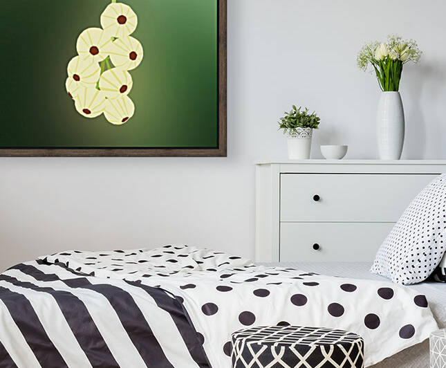 Cherry Blossom   Reproduction