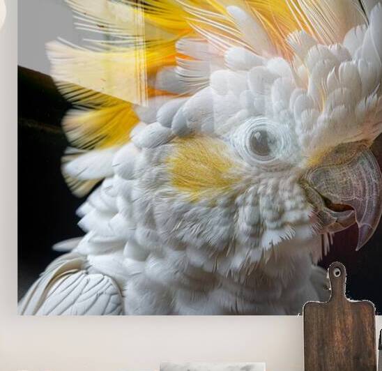 Furry Yellow Cockatoo by rizu_designs