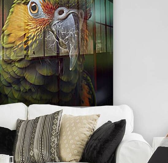 Beautiful Parrot Reproduction