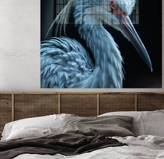 Exotic Bird Reproduction
