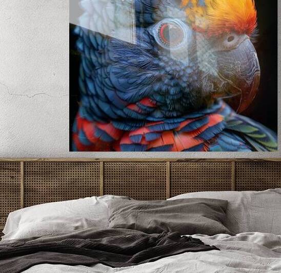Red Collared Lorikeet by rizu_designs