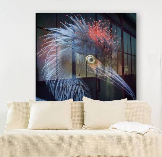 100 Reproduction