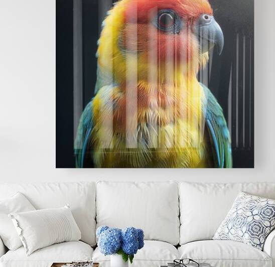 109 by rizu_designs
