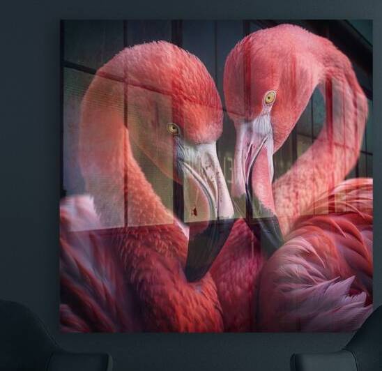 Affectionate Flamingos by rizu_designs