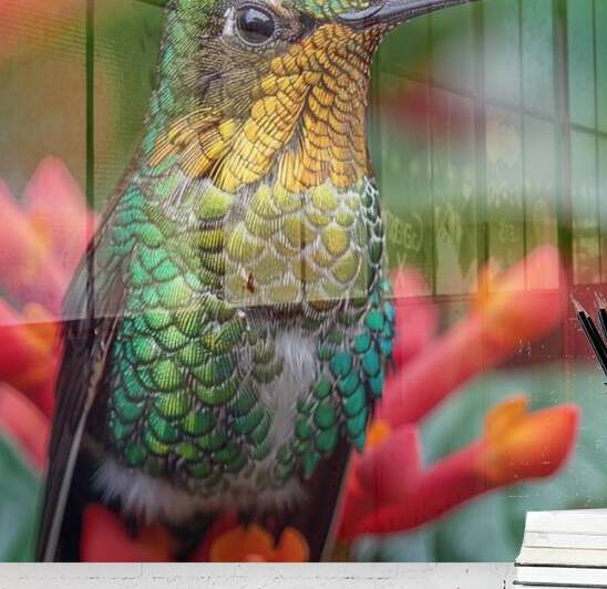 Cute Humming Bird by rizu_designs