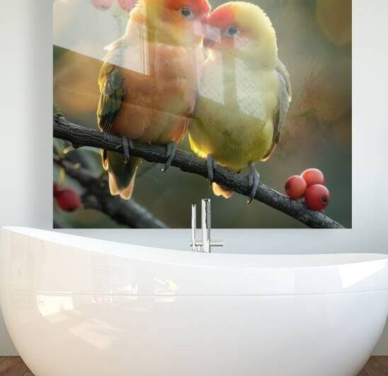 Chirpy Lovebird Reproduction
