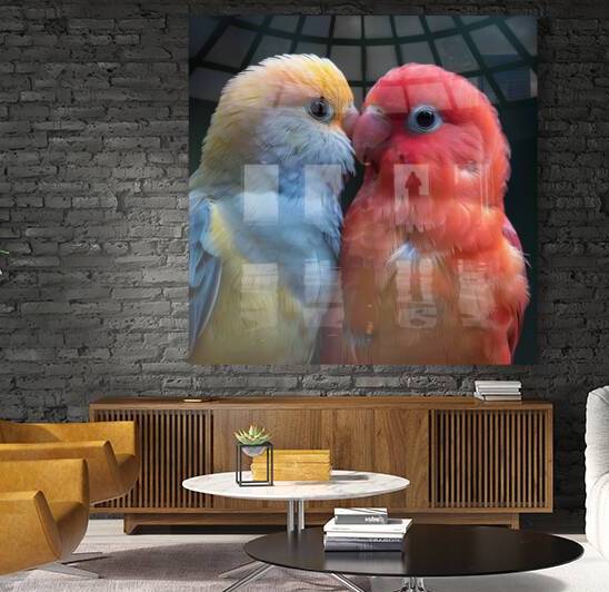 Sweet Lovebird Reproduction