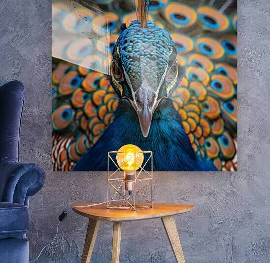 Captivating Peacock by rizu_designs