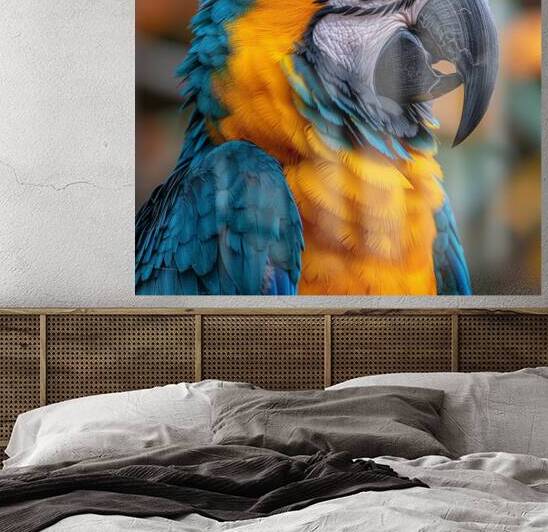 Macaw Eyes Reproduction