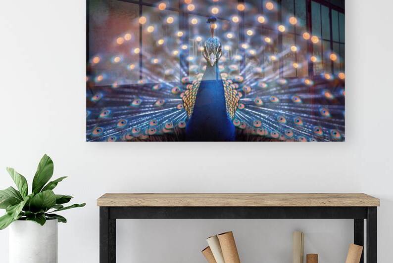 Ethereal Peacock Reproduction