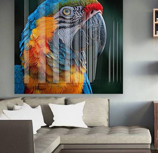 Fluffy Macaw Reproduction
