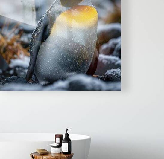 Arctic Delight Penguin by rizu_designs