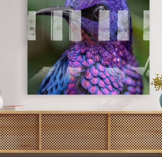 Purple Humming Bird by rizu_designs