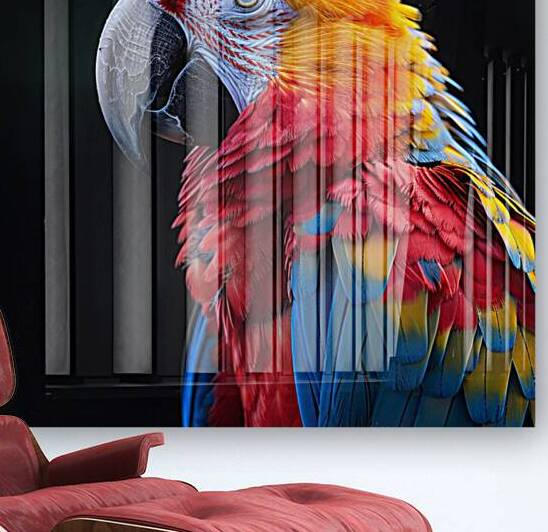 Graceful Macaw Reproduction