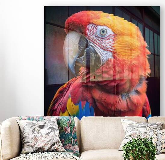 Stunning Macaw Reproduction