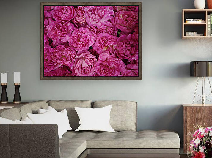 ROSE GARDEN   Reproduction