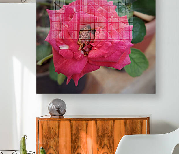 Blooming Red Rose by rizu_designs
