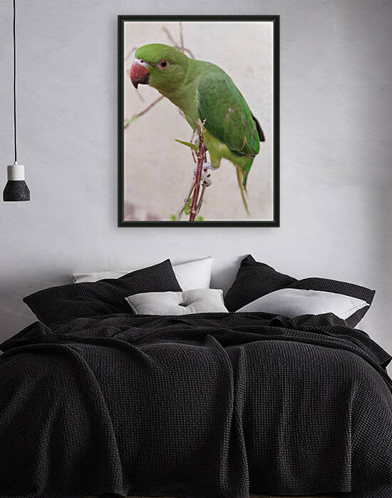 Lovely Indian Cute Parrot by rizu_designs