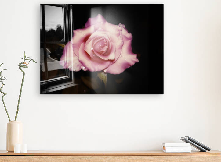 Satin Rose by rizu_designs