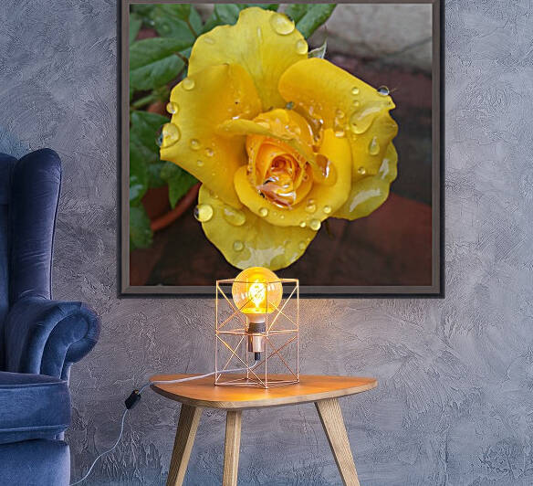 Yellow Rose with Dew Drops by rizu_designs