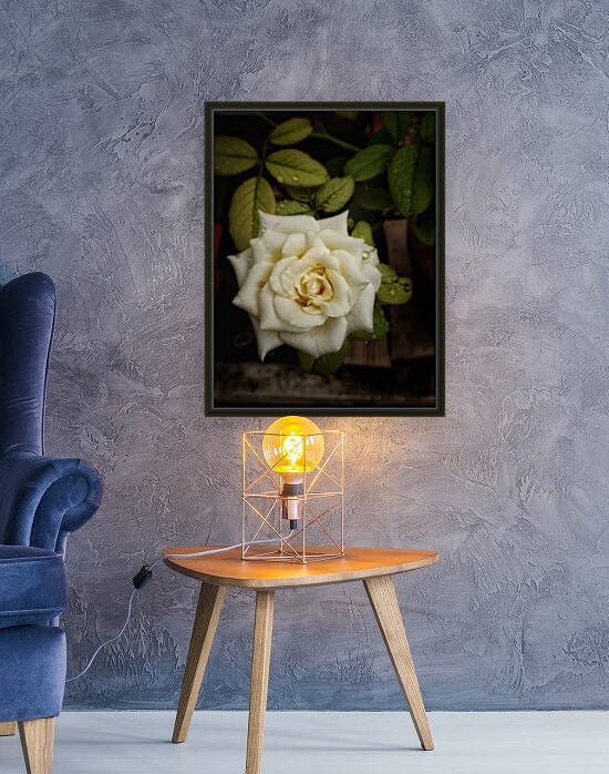 Beautiful Garden White Rose by rizu_designs