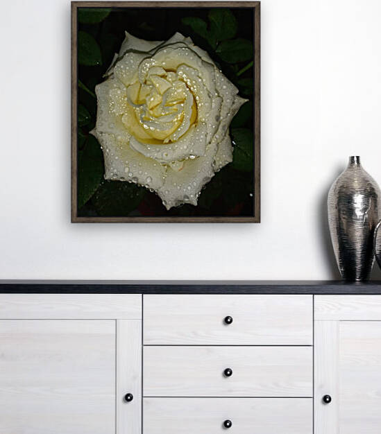 Floribunda Rose by rizu_designs