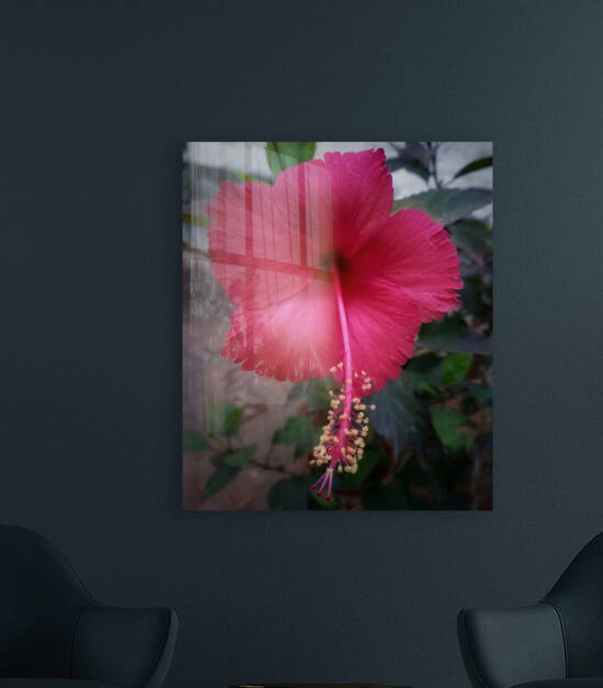 Beautiful Hibiscus Flora by rizu_designs