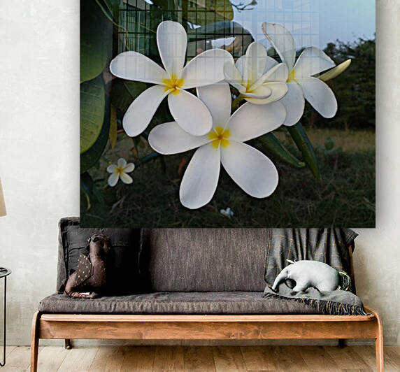 Frangipani by rizu_designs