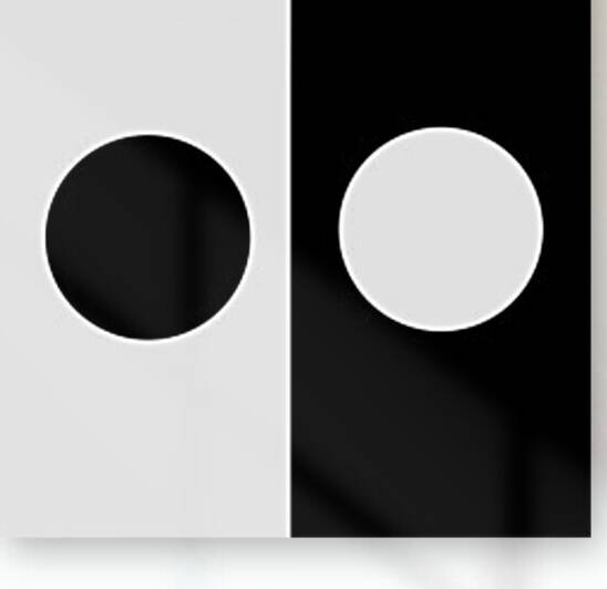 Black and White Dots Reproduction