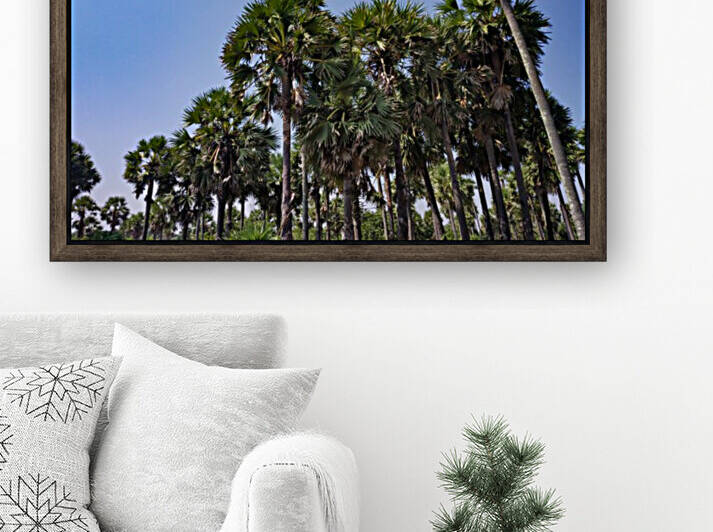 Palm Tree Reproduction