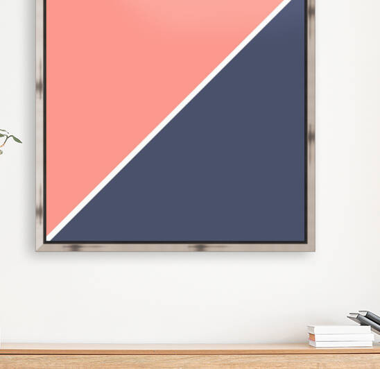 Salmon and Navy Abstract Reproduction