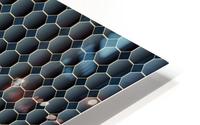 Golden Honeycomb HD Metal print