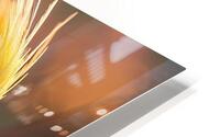 66 HD Metal print