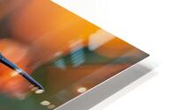 209 HD Metal print