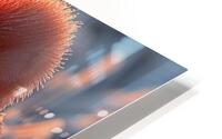 193 HD Metal print