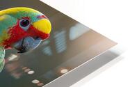 Lovely Parrots HD Metal print