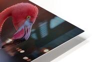Dazzling Flamingo HD Metal print