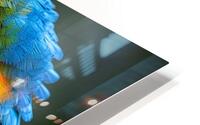 Macaw Eye HD Metal print
