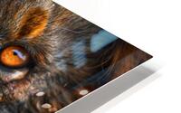 Bold Beast HD Metal print