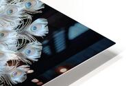 White Majesty Peacock HD Metal print